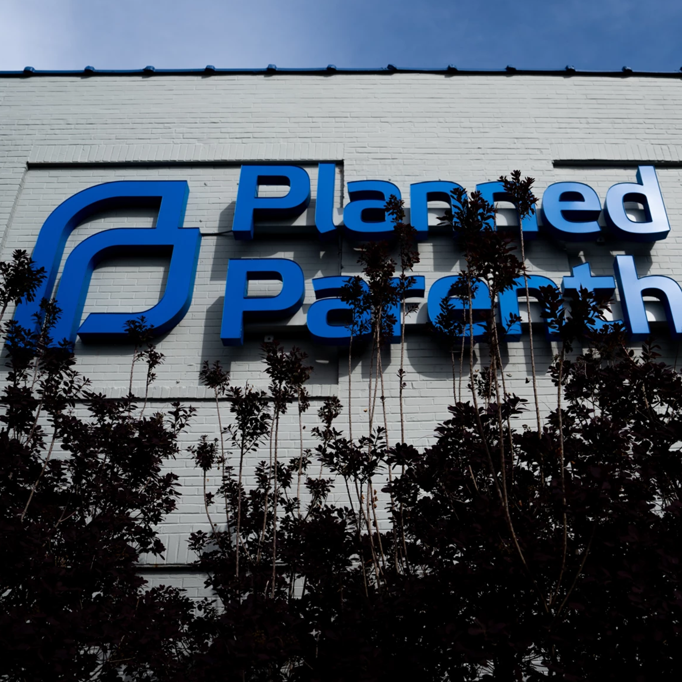Missouri expanded abortion access this month. Whether it stays that way is up to voters. episode artwork